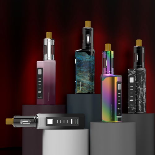 Innokin Endura T22Pro vape kit